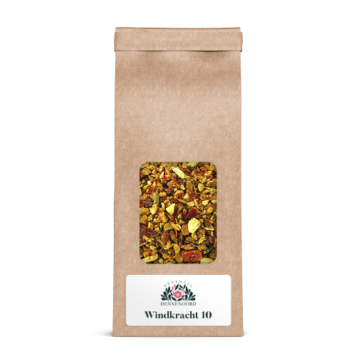 Windkracht 10